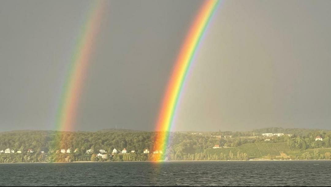 Graf Konstanz